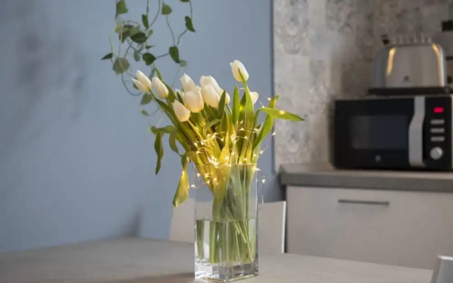 Boutique Apartment Zola