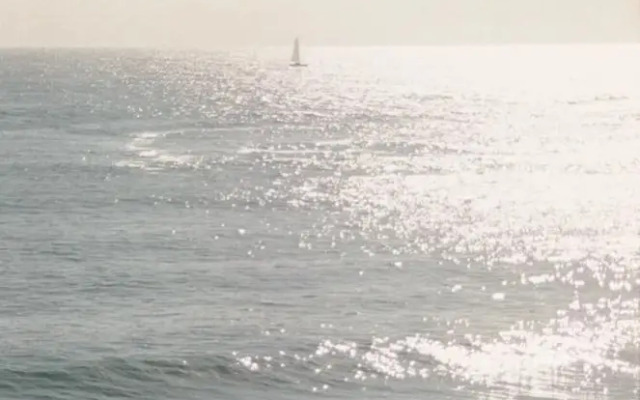 Il Delfino Seaside Inn