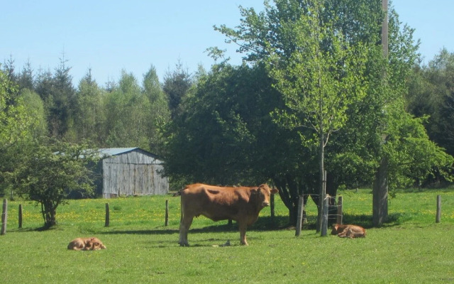 Holiday Home in La Rouge Miniere Nature Haven
