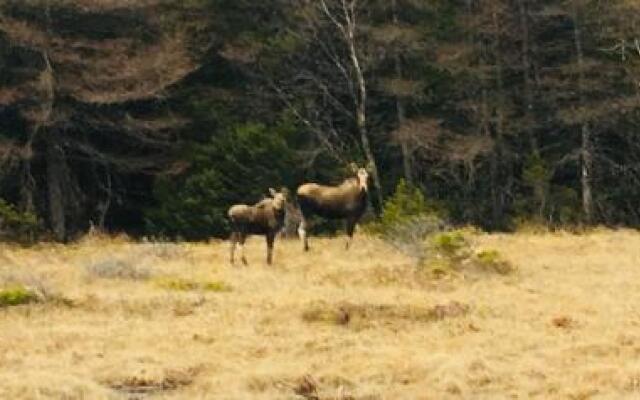 The Convent Guesthouse