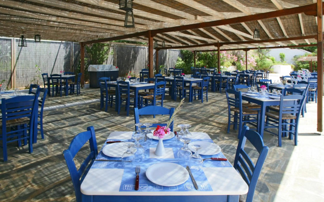 Andros Holiday
