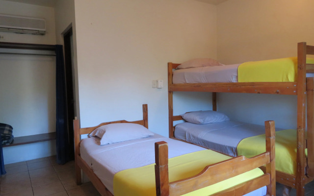 Hotel Diversion Tropical