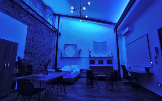 Mola Studio By Paradox