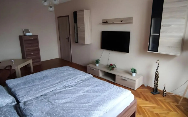 Apartmán priamo v centre mesta Levice