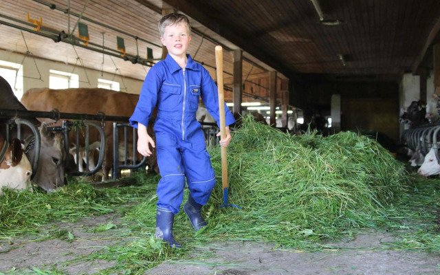 Bauernhof Ferienwohnungen Sennhof