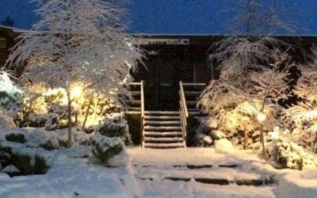 Pinetree Lodge Log Cabin