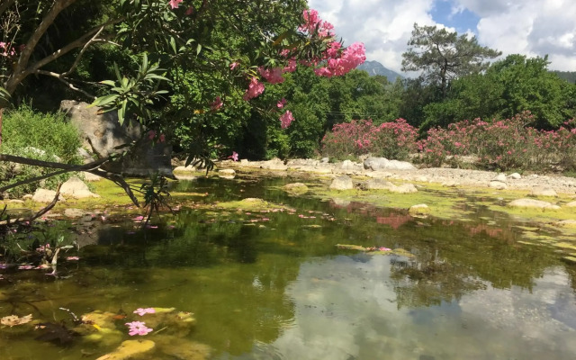 Canario Pension Bungalow