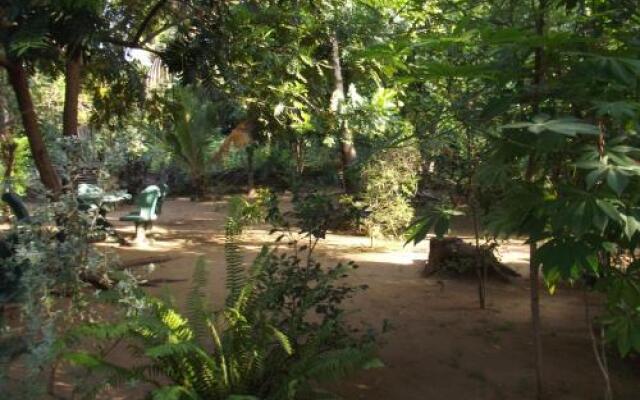 Janaka Safari Homestay