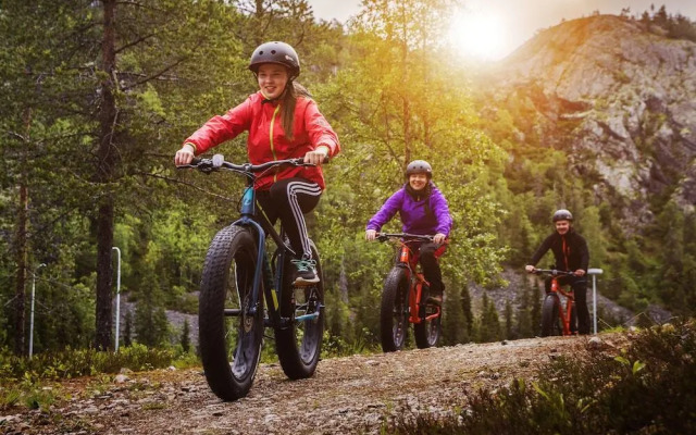 Ruka Safaris - Papin Talo