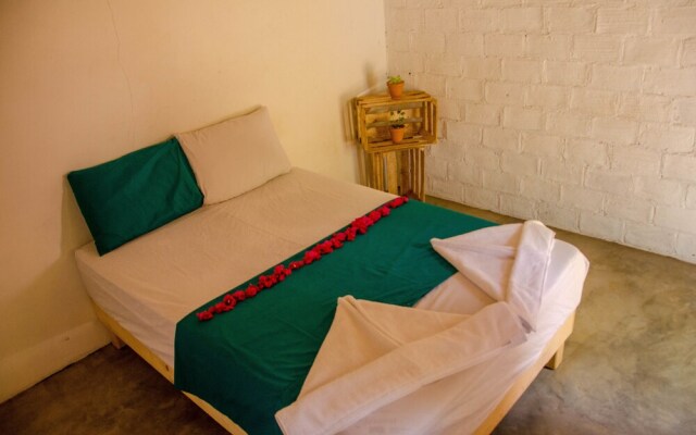 Alebrijes Surf House - Adults Only - Hostel