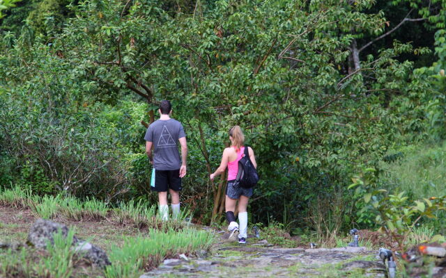 The Rainforest Ecolodge