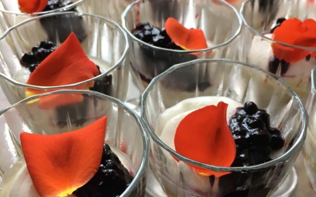 Riddersviks Herrgård