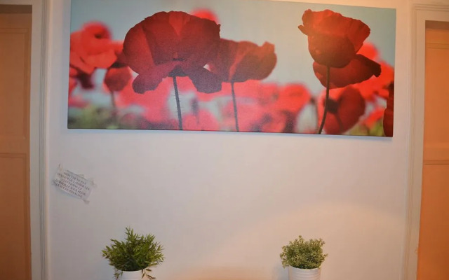 Women Bed - Hostel (только для взрослых)