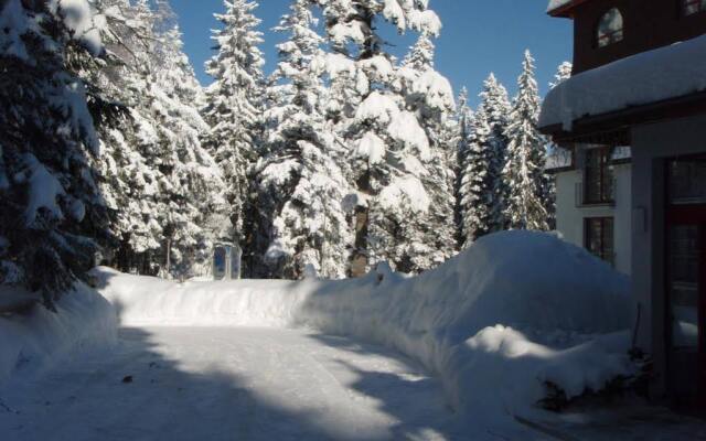 Hotel Saint George Borovets