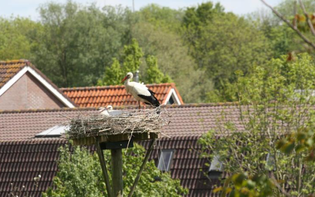 Bed & Breakfast Aan de IJssel