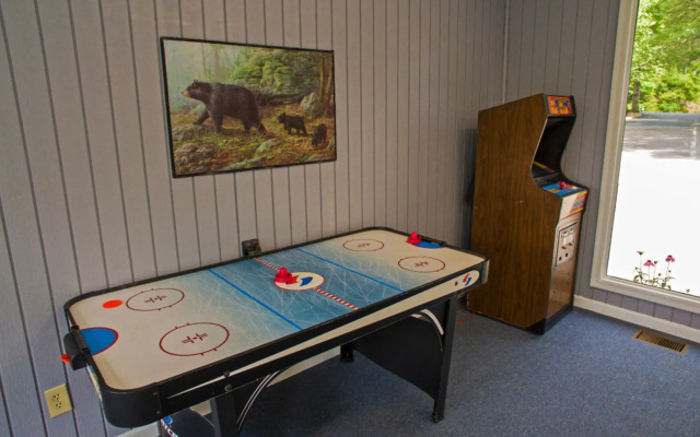 Mtn Chalet w Pool-hot Tub-gym-game Room-sauna