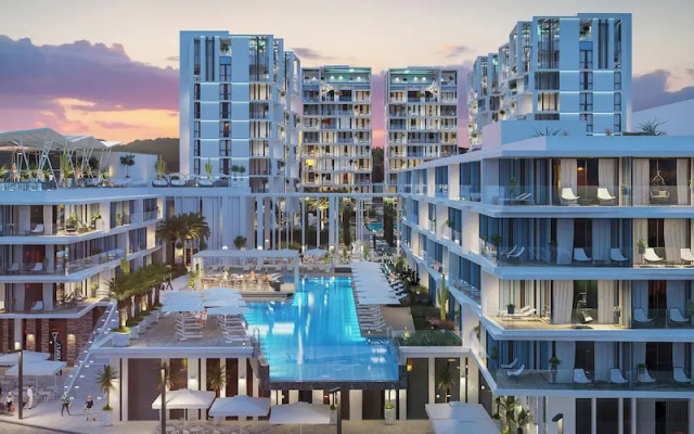 Isla Brown Eilat 42