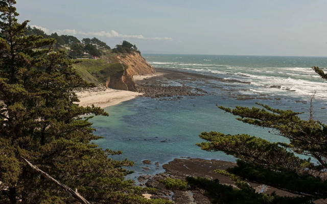 Seal Cove Inn