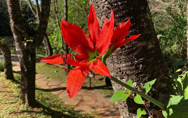 Pousada A Rosa e o Rei