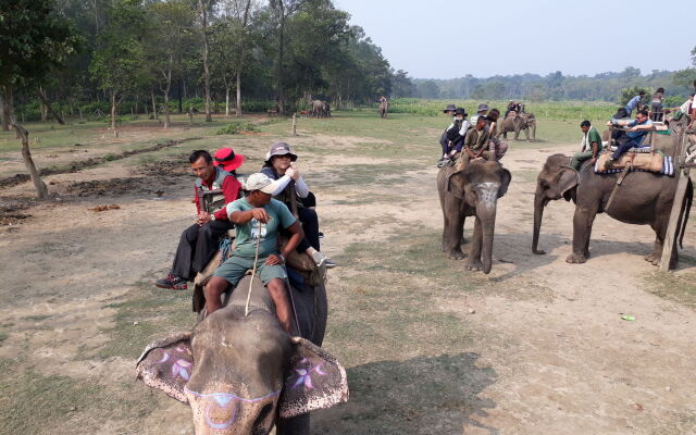 Sauraha Resort