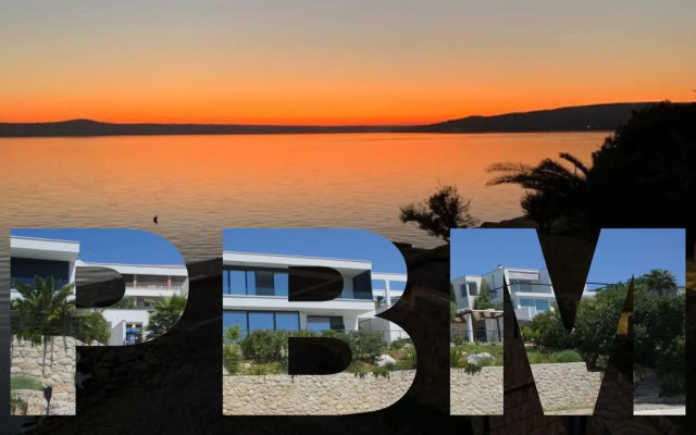 Palms & Beach Maslenica