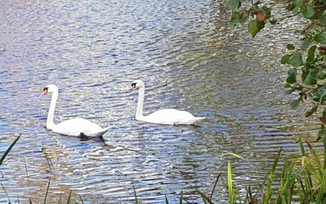 89 Lower Lakeside - Glan Gwna Holiday Park