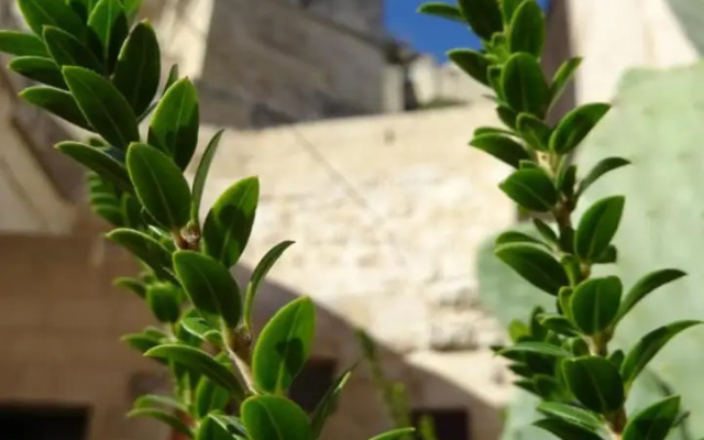 StageROOM02 - Matera