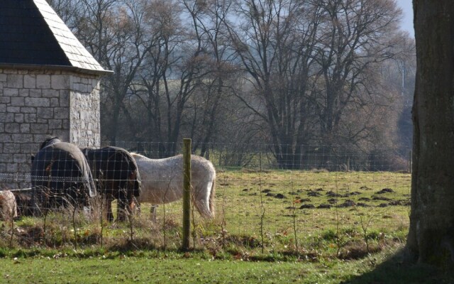 Wonderfully Furnished Cottage, Very Comfortable, Small Village Near Namur