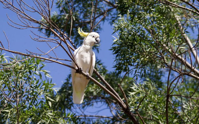 NRMA Dubbo Holiday Park