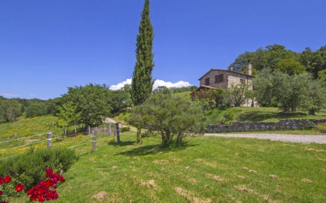 House Casalini Scansano