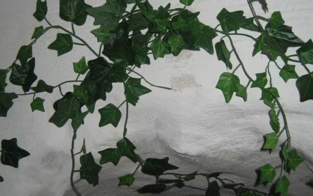 Stadtappartements Oppeneiger