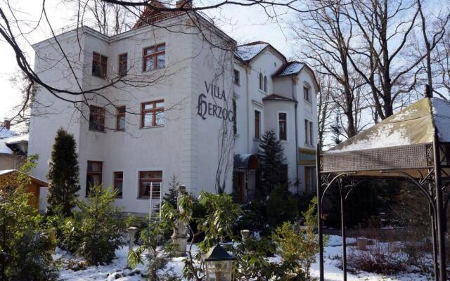 Villa Herzog