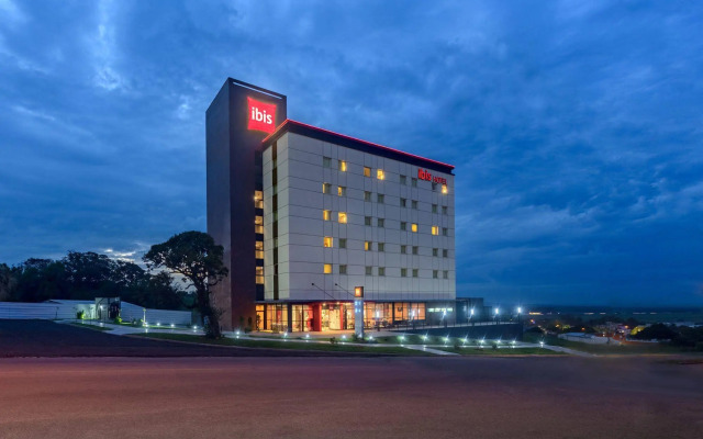 ibis Guaiba