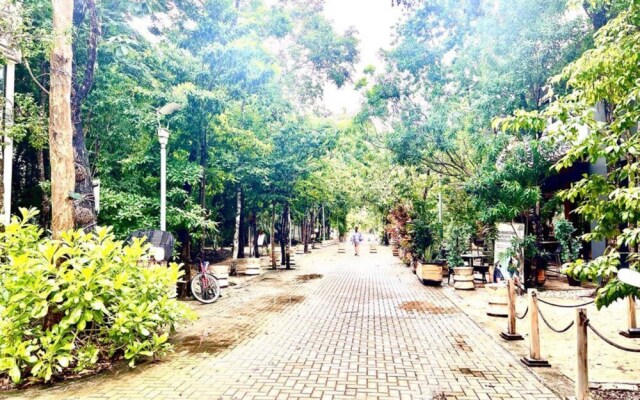 Amira Central 303 By Lockey