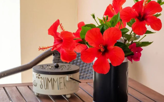 Rikia Seaside House