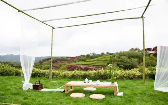 Yuyao Old Shen's Tea House