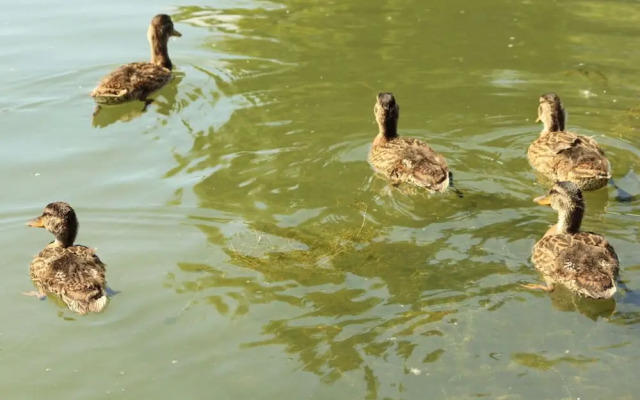 Stella Maris Modern Retreat