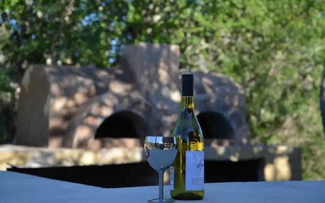 Wild Olive Tree Camp