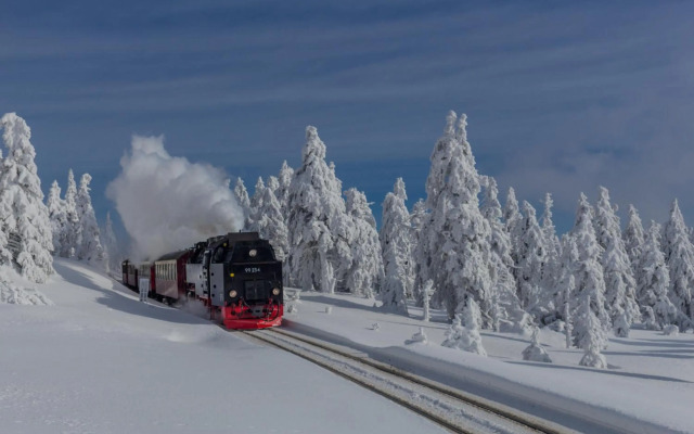 TraumFewo Rübezahl mit Kamin