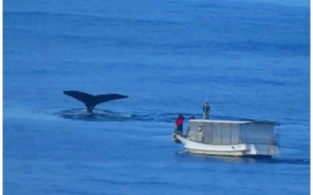 Fukugi no Yado - Vacation STAY 94994v