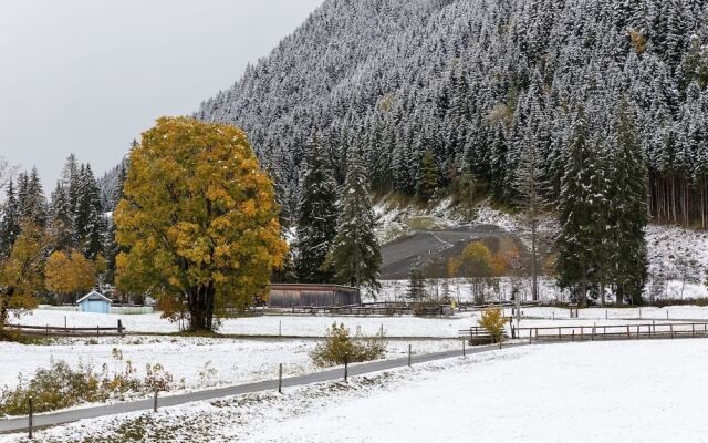Chalet Apartment in Saalbach-hinterglemm