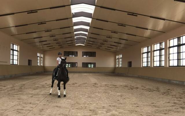 VMG Horse Ranch