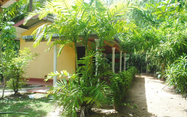 Ever Green Mirissa