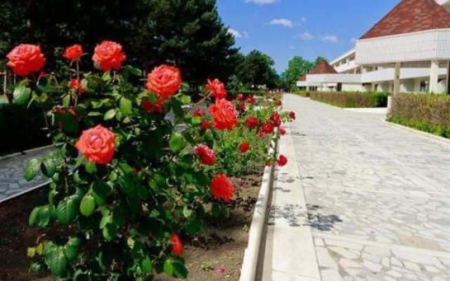 Lastochka Resort