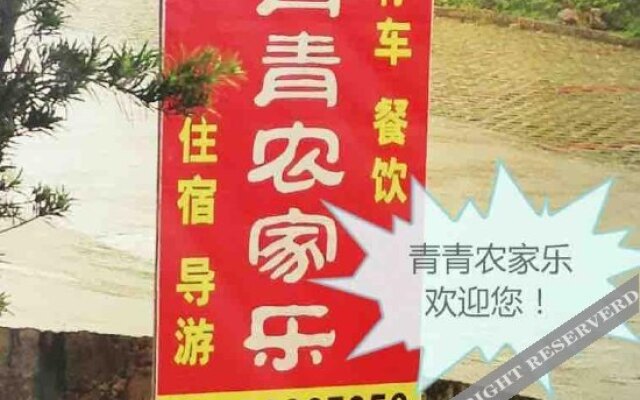 Qing Qing njl