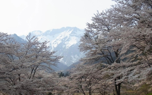 Ryokan Tanigawa