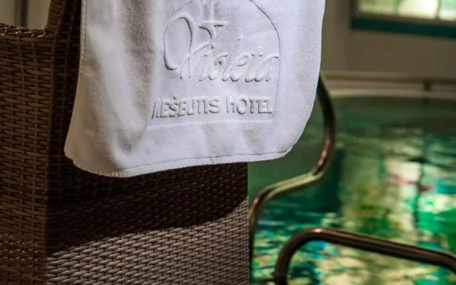 Hotel Violeta