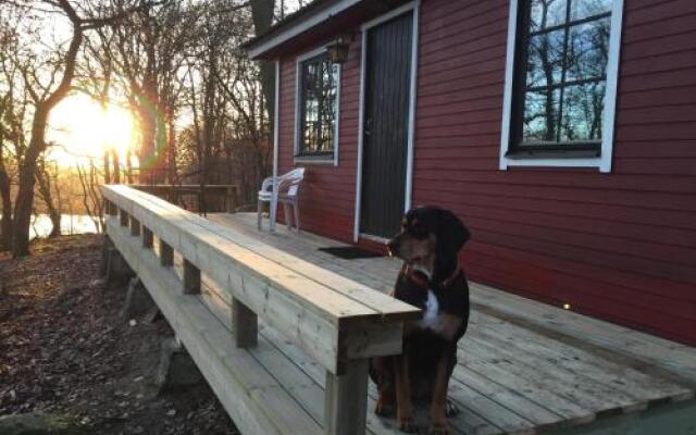 Farm Stay Happy Dogs Ranch