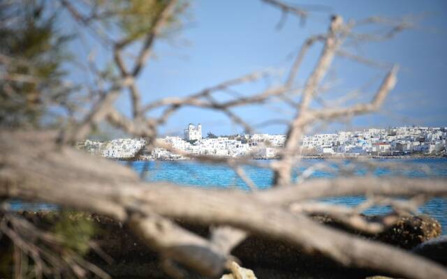 Koukounari Cottage Paros, Apartment With sea View