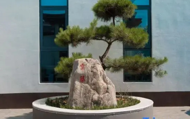 Yunzhu Homestay
